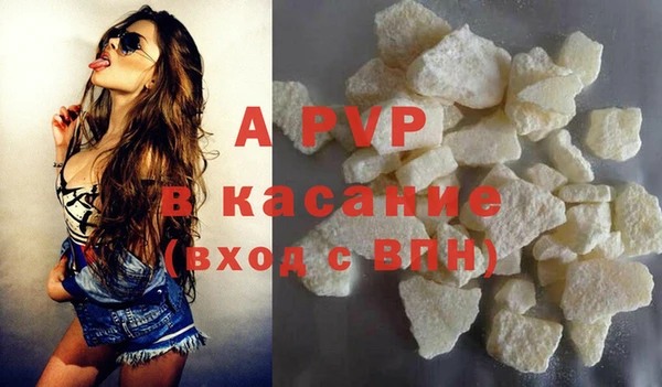 стаф Верея