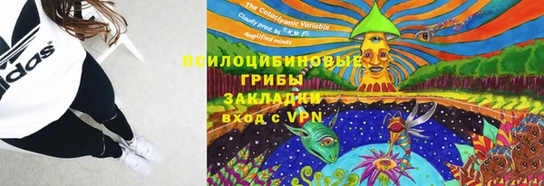 индика Магадан