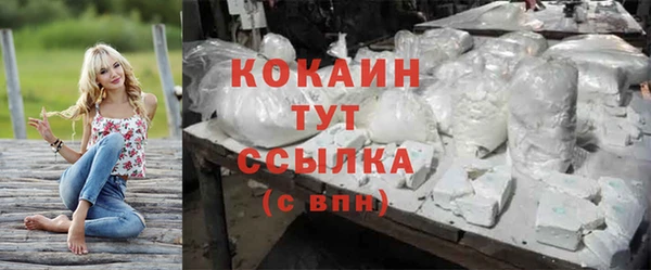 тгк Майский