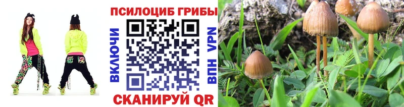 Галлюциногенные грибы GOLDEN TEACHER  купить наркотики сайты  Талица 